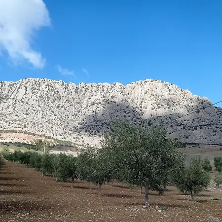 Hébergement de vacances Rocio - Caminito Del Rey Valle de Abdalagís